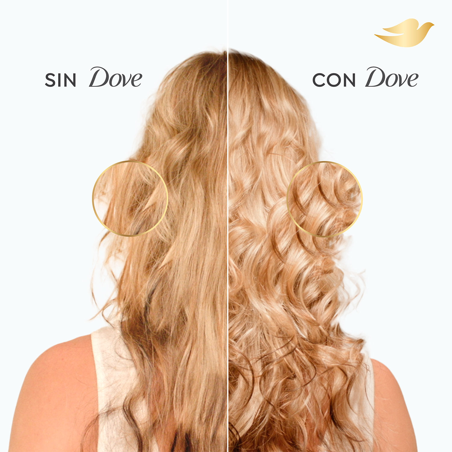 Acondicionador Dove Reconstrucción + Aminoácidos 650 ml - Image 5