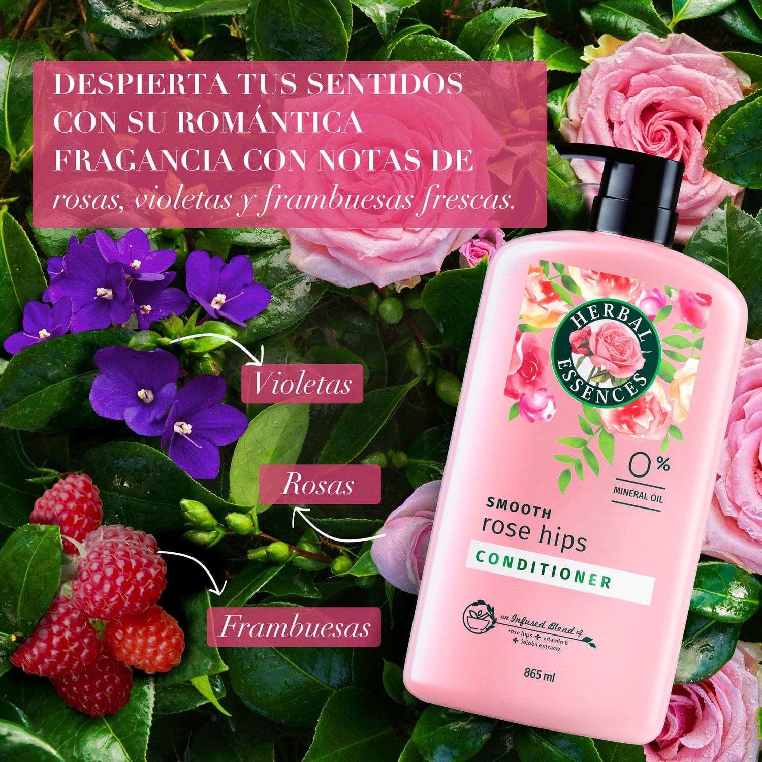 Acondicionador Herbal Essences Suavidad Rosa Mosqueta 865 ml - Image 4