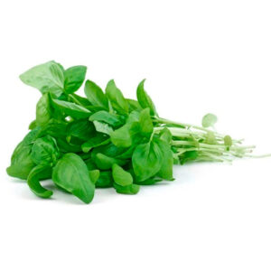 Albahaca 1 un.