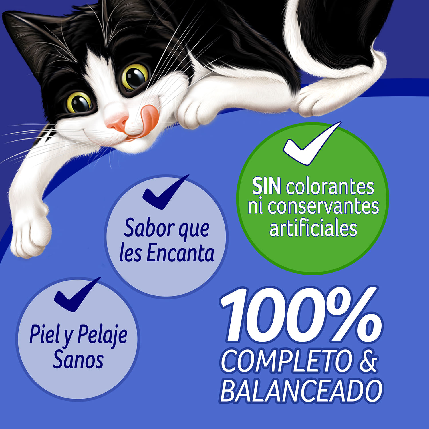 Alimento Húmedo Gato Felix Sabor Pollo Sobre 85 g - Image 3
