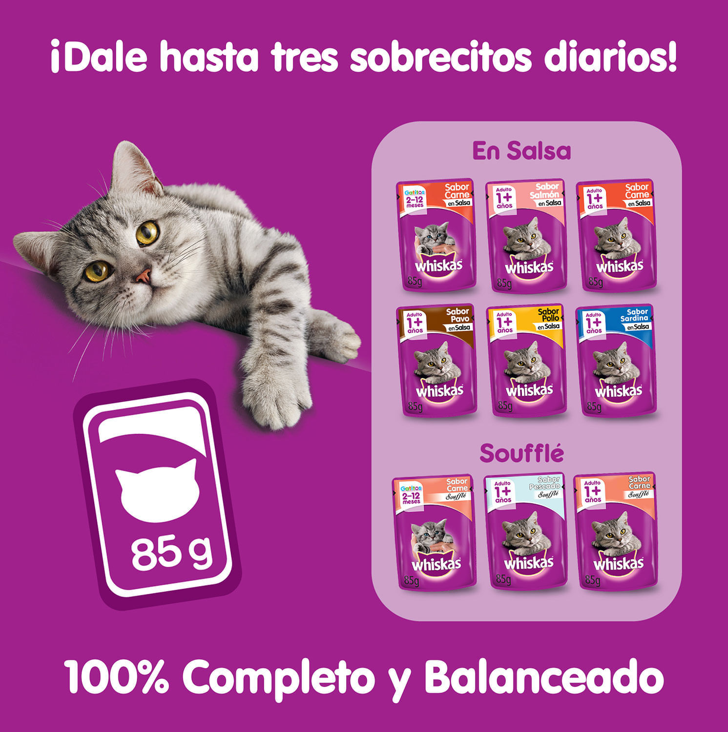 Alimento Húmedo Gato Adulto Whiskas Pescado Soufflé 85 g - Image 5