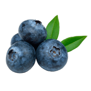 Arándanos Pote 125 g