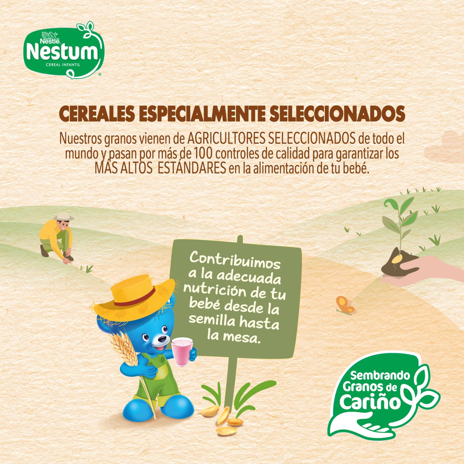 Cereal Infantil Nestum Frutilla 250 g - Image 3
