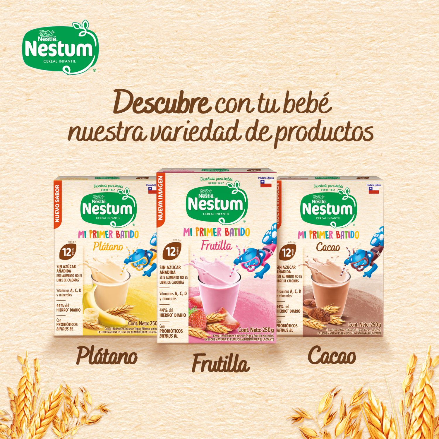 Cereal Infantil Nestum Frutilla 250 g - Image 6