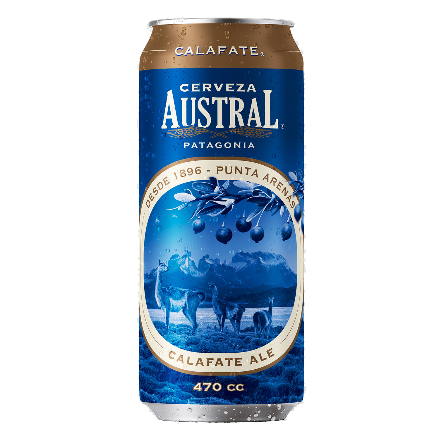 Cerveza Austral Calafate Ale 5.0° Lata 470 cc - Image 2