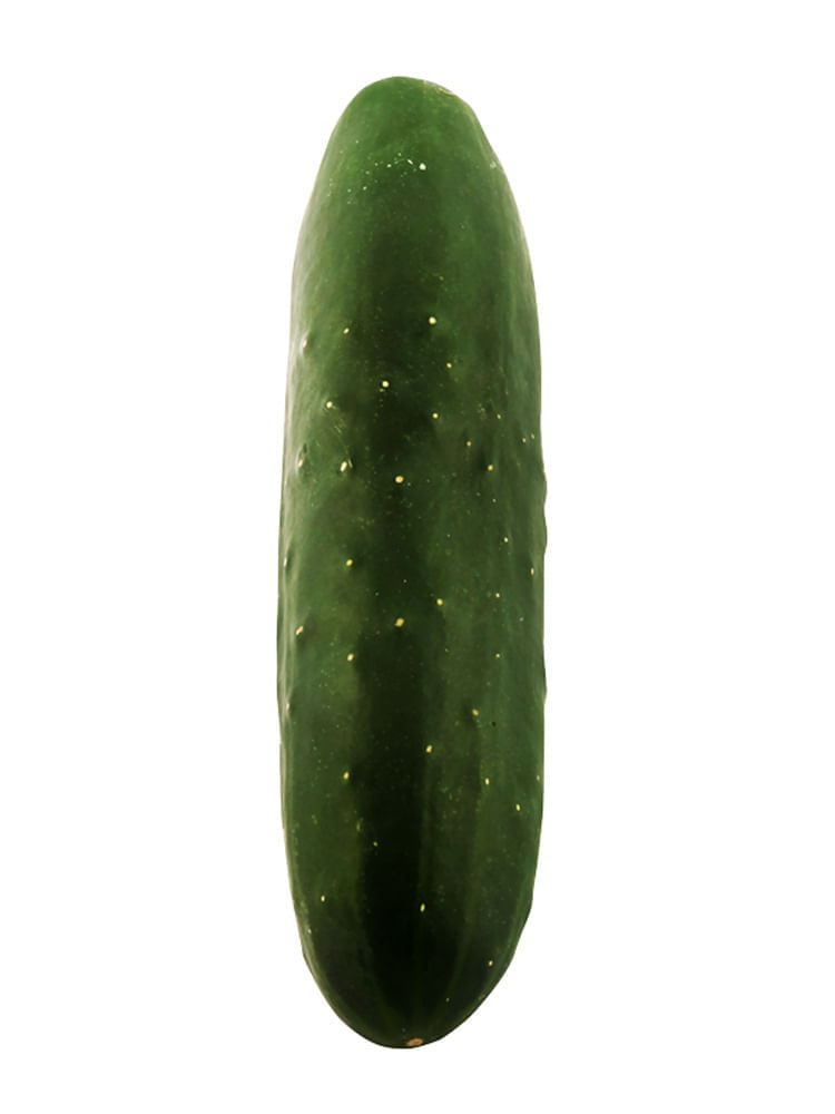 Pepino Ensalada 1 un.