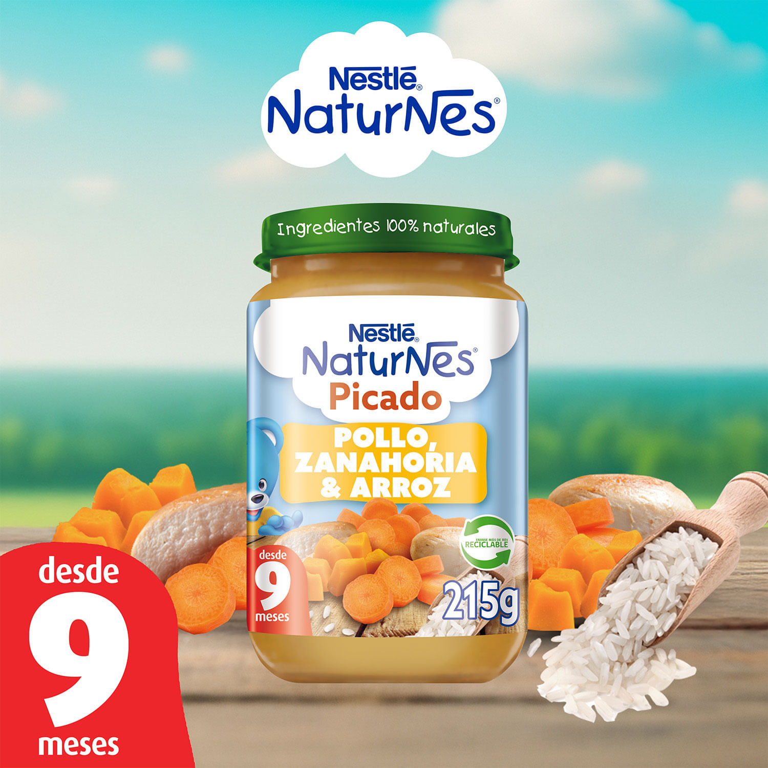 Picado Naturnes Pollo Zanahoria Arroz 215 g - Image 2