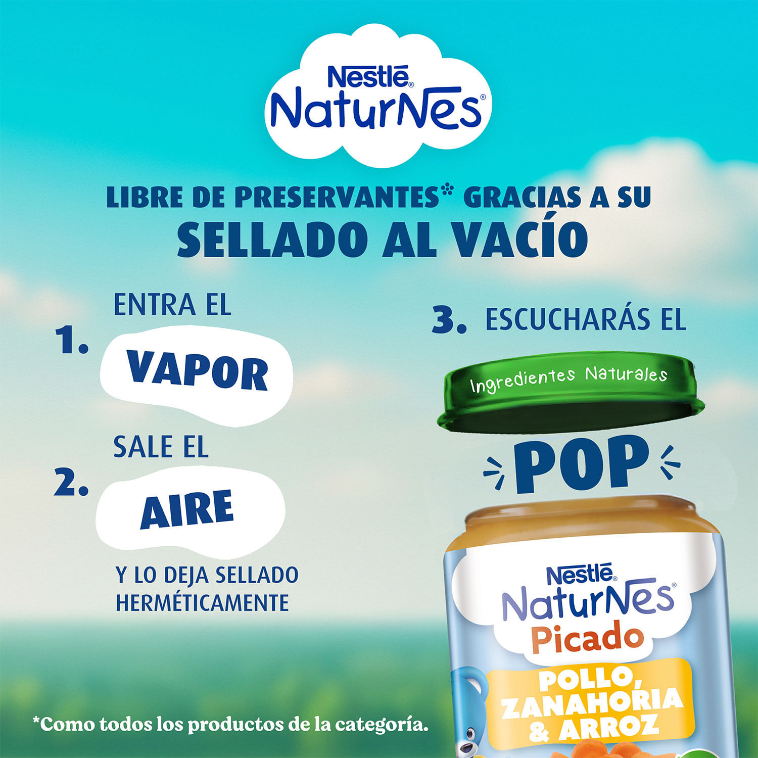 Picado Naturnes Pollo Zanahoria Arroz 215 g - Image 4
