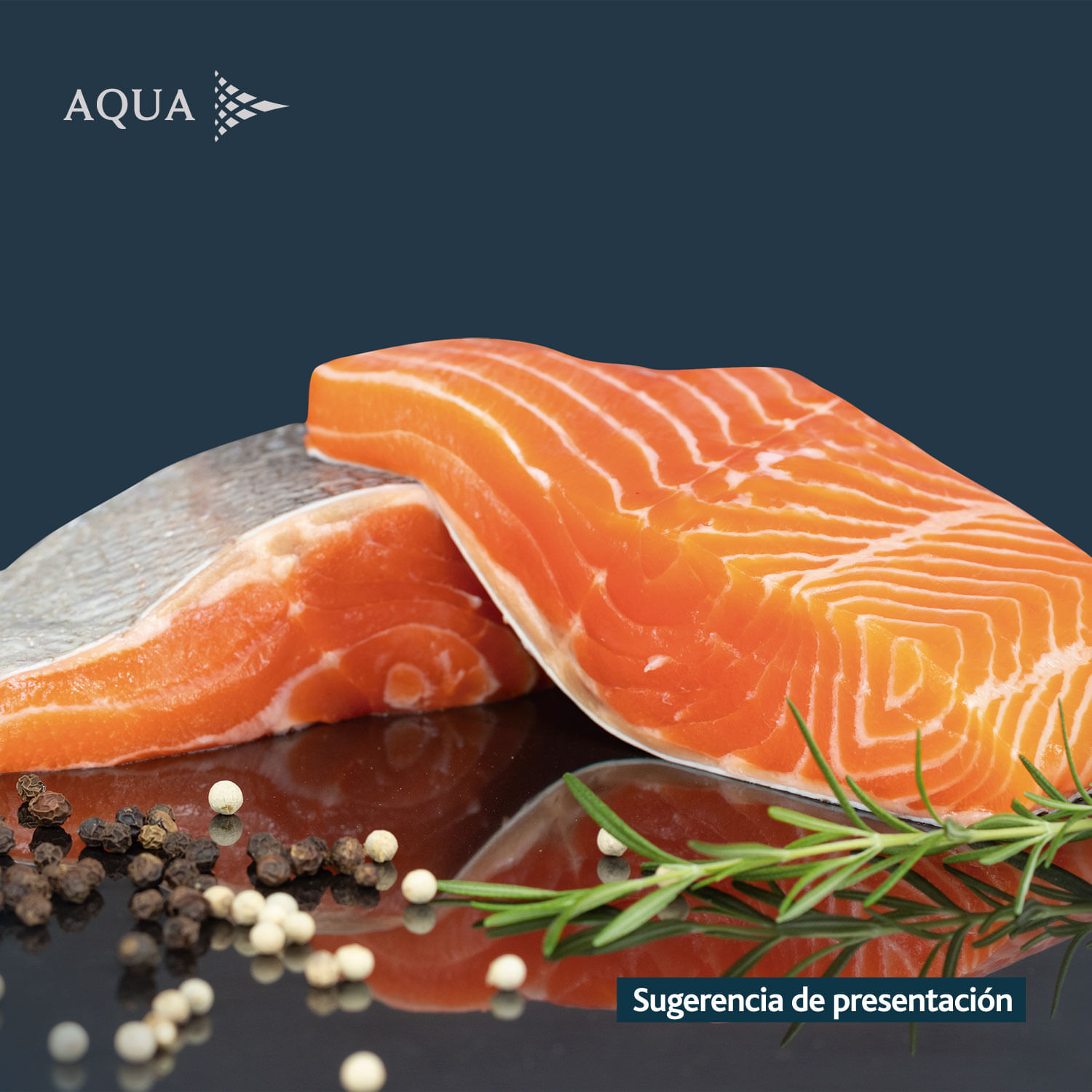 Salmón Porciones Aqua 500 g - Image 2
