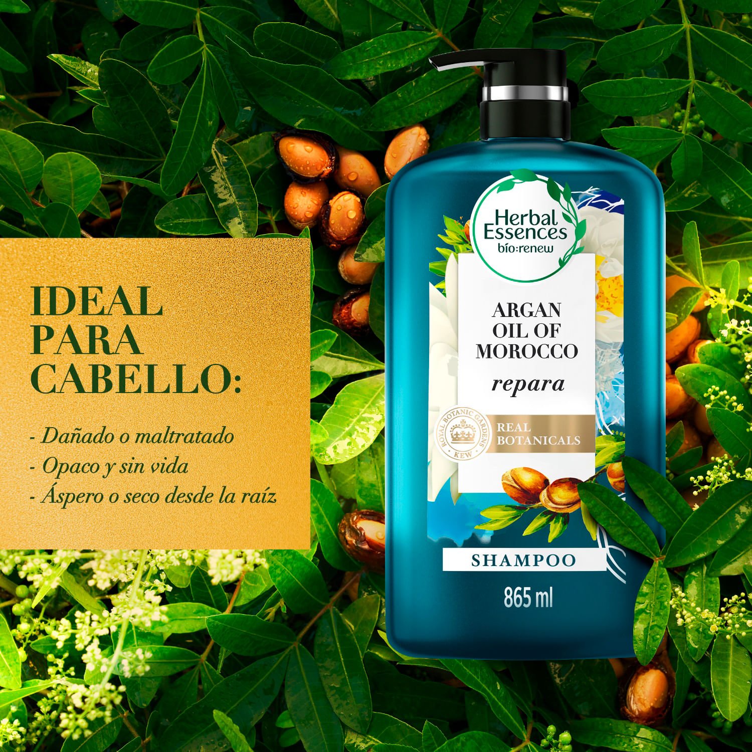 Shampoo Herbal Essences Bio Renew Argan Oil 865 ml - Image 3
