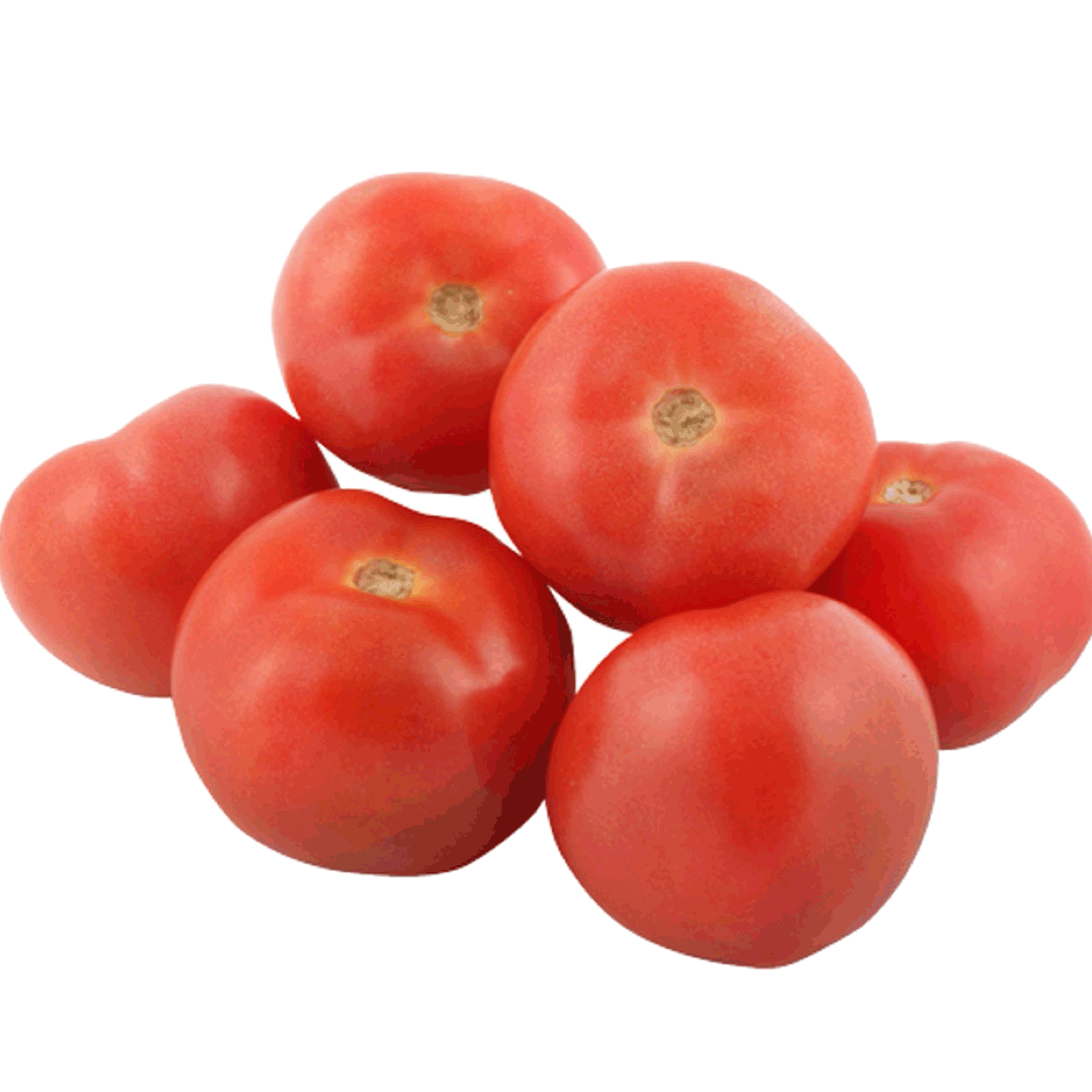 Tomate Larga Vida Granel (1 a 2 un. Aprox)