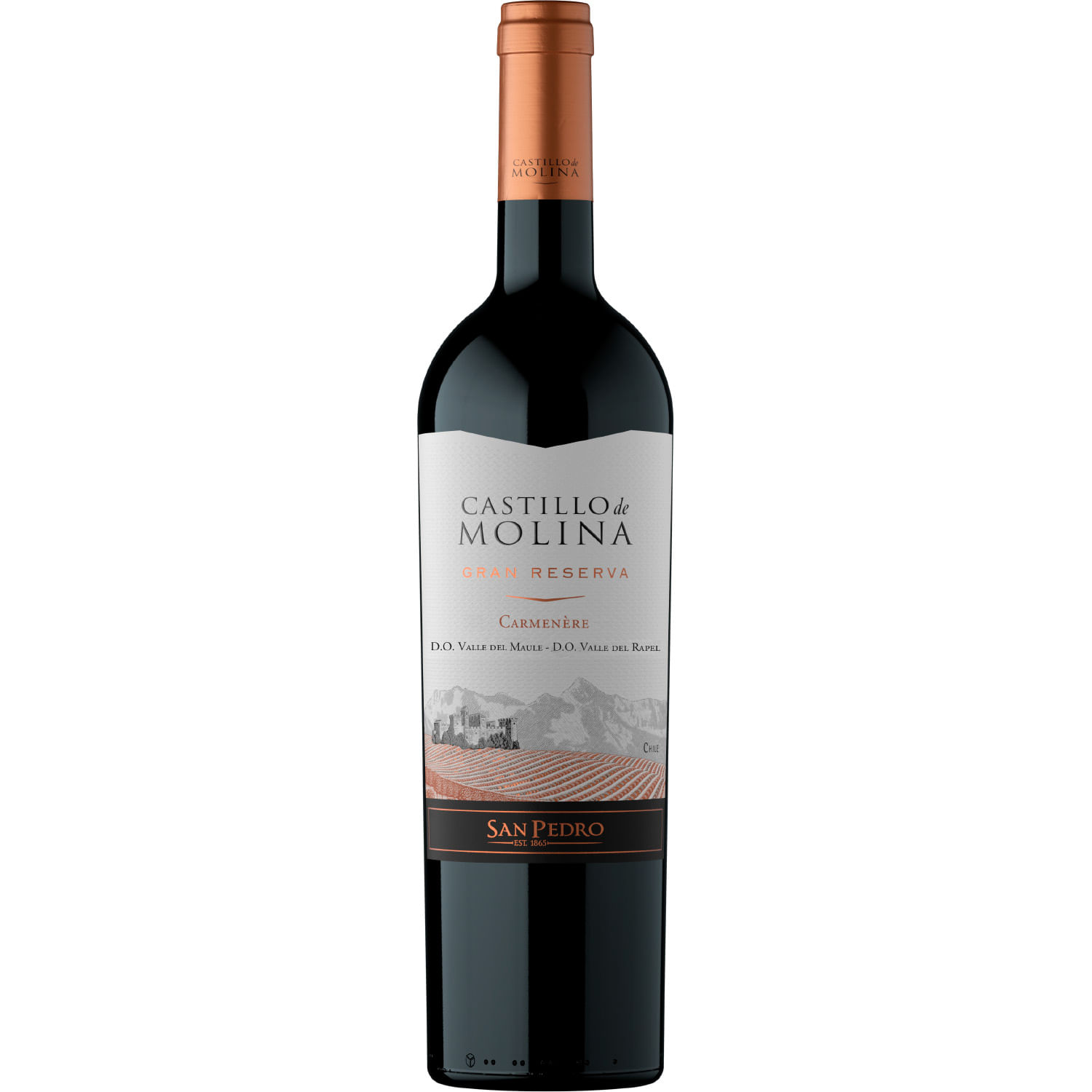Vino Castillo de Molina Gran Reserva Carmenere 750 cc - Image 3